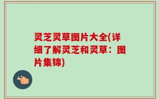 灵芝灵草图片大全(详细了解灵芝和灵草：图片集锦)
