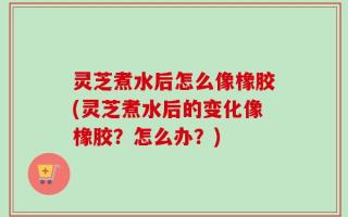 灵芝煮水后怎么像橡胶(灵芝煮水后的变化像橡胶？怎么办？)
