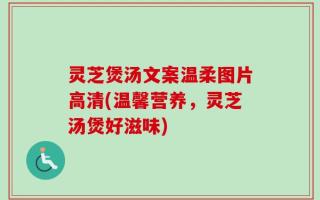 灵芝煲汤文案温柔图片高清(温馨营养，灵芝汤煲好滋味)