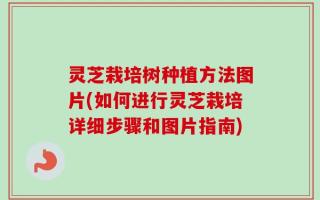 灵芝栽培树种植方法图片(如何进行灵芝栽培详细步骤和图片指南)