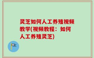 灵芝如何人工养殖视频教学(视频教程：如何人工养殖灵芝)