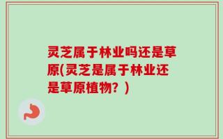 灵芝属于林业吗还是草原(灵芝是属于林业还是草原植物？)