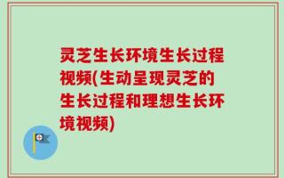 灵芝生长环境生长过程视频(生动呈现灵芝的生长过程和理想生长环境视频)