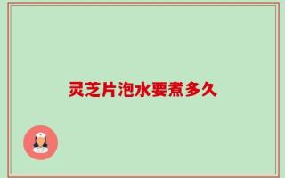 灵芝片泡水要煮多久