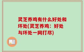 灵芝养鸡有什么好处和坏处(灵芝养鸡：好处与坏处一网打尽)