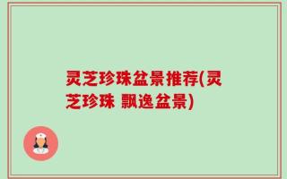 灵芝珍珠盆景推荐(灵芝珍珠 飘逸盆景)