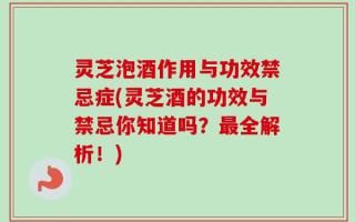 灵芝泡酒作用与功效禁忌症(灵芝酒的功效与禁忌你知道吗？最全解析！)