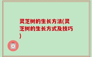 灵芝树的生长方法(灵芝树的生长方式及技巧)