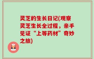 灵芝的生长日记(观察灵芝生长全过程，亲手见证“上等药材”奇妙之旅)
