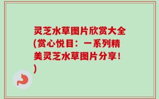 灵芝水草图片欣赏大全(赏心悦目：一系列精美灵芝水草图片分享！)