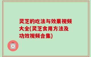 灵芝的吃法与效果视频大全(灵芝食用方法及功效视频合集)