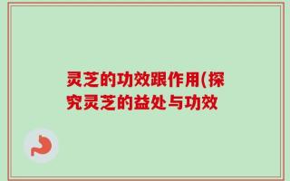 灵芝的功效跟作用(探究灵芝的益处与功效