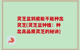 灵芝盆到底能不能种出灵芝(灵芝盆种植：种出高品质灵芝的秘诀)
