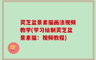 灵芝盆景素描画法视频教学(学习绘制灵芝盆景素描：视频教程)