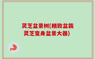 灵芝盆景树(精致盆栽 灵芝变身盆景大器)