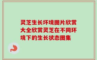 灵芝生长坏境图片欣赏大全欣赏灵芝在不同环境下的生长状态图集