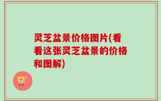灵芝盆景价格图片(看看这张灵芝盆景的价格和图解)