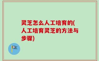 灵芝怎么人工培育的(人工培育灵芝的方法与步骤)