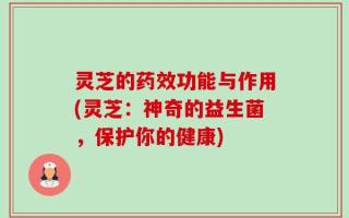 灵芝的药效功能与作用(灵芝：神奇的益生菌，保护你的健康)