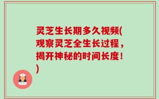 灵芝生长期多久视频(观察灵芝全生长过程，揭开神秘的时间长度！)