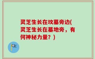 灵芝生长在坟墓旁边(灵芝生长在墓地旁，有何神秘力量？)