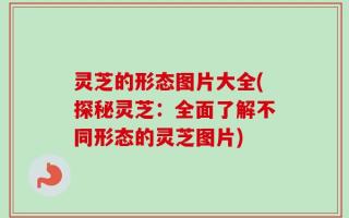 灵芝的形态图片大全(探秘灵芝：全面了解不同形态的灵芝图片)