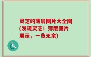 灵芝的薄层图片大全图(发现灵芝！薄层图片展示，一览无余)