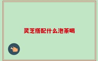 灵芝搭配什么泡茶喝
