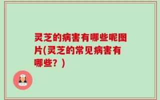 灵芝的病害有哪些呢图片(灵芝的常见病害有哪些？)