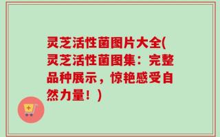 灵芝活性菌图片大全(灵芝活性菌图集：完整品种展示，惊艳感受自然力量！)
