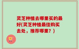 灵芝种植去哪里买的最好(灵芝种植最佳购买去处，推荐哪里？)