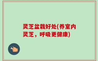 灵芝盆栽好处(养室内灵芝，呼吸更健康)