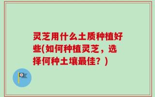 灵芝用什么土质种植好些(如何种植灵芝，选择何种土壤最佳？)
