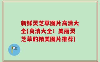 新鲜灵芝草图片高清大全(高清大全！美丽灵芝草的精美图片推荐)