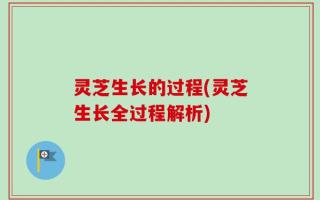 灵芝生长的过程(灵芝生长全过程解析)