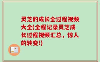 灵芝的成长全过程视频大全(全程记录灵芝成长过程视频汇总，惊人的转变!)