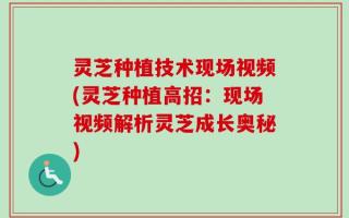 灵芝种植技术现场视频(灵芝种植高招：现场视频解析灵芝成长奥秘)