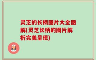 灵芝的长柄图片大全图解(灵芝长柄的图片解析完美呈现)