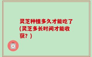 灵芝种植多久才能吃了(灵芝多长时间才能收获？)
