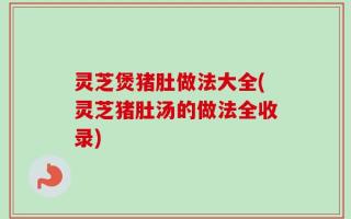 灵芝煲猪肚做法大全(灵芝猪肚汤的做法全收录)