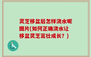 灵芝移盆后怎样浇水呢图片(如何正确浇水让移盆灵芝茁壮成长？)