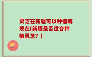 灵芝在新疆可以种植嘛现在(新疆是否适合种植灵芝？)