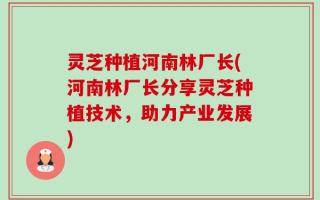 灵芝种植河南林厂长(河南林厂长分享灵芝种植技术，助力产业发展)