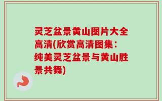 灵芝盆景黄山图片大全高清(欣赏高清图集：纯美灵芝盆景与黄山胜景共舞)