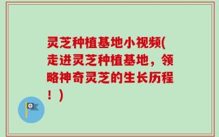 灵芝种植基地小视频(走进灵芝种植基地，领略神奇灵芝的生长历程！)