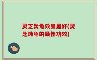 灵芝煲龟效果最好(灵芝炖龟的最佳功效)