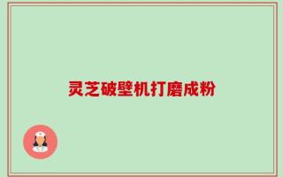 灵芝破壁机打磨成粉