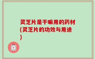 灵芝片是干嘛用的药材(灵芝片的功效与用途)