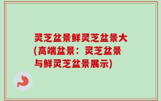 灵芝盆景鲜灵芝盆景大(高端盆景：灵芝盆景与鲜灵芝盆景展示)