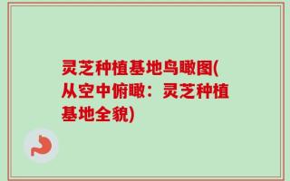 灵芝种植基地鸟瞰图(从空中俯瞰：灵芝种植基地全貌)